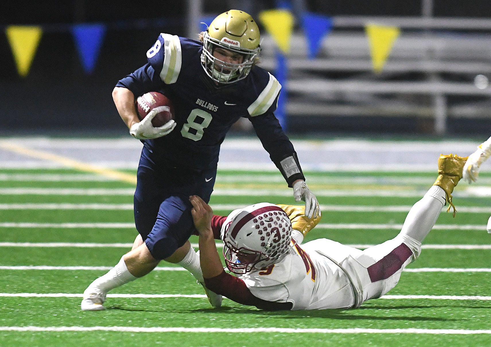 Bulldogs vs Panthers19-my